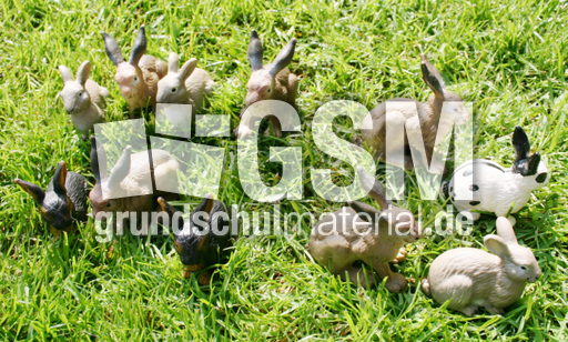 Kaninchen-11-4.jpg